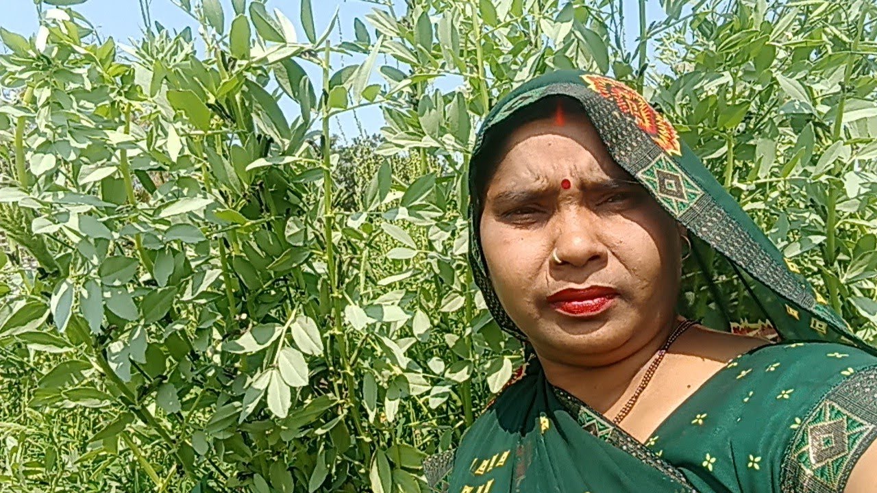 आज मैं बनाई बकला की बहुत ही स्वादिष्ट रेसिपी🙏🙏