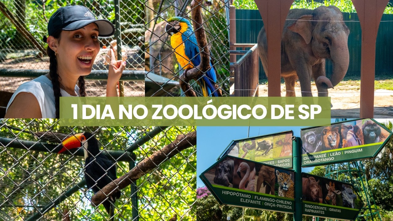 Date surpresa #1 no ZOOLÓGICO DE SP!