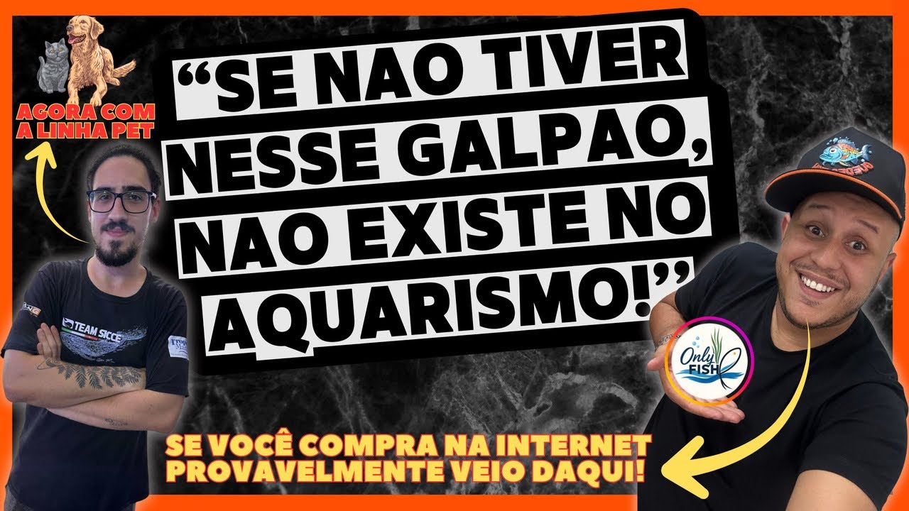 TOUR NO GALPÃO DA ONLY FISH! 🥰🐟