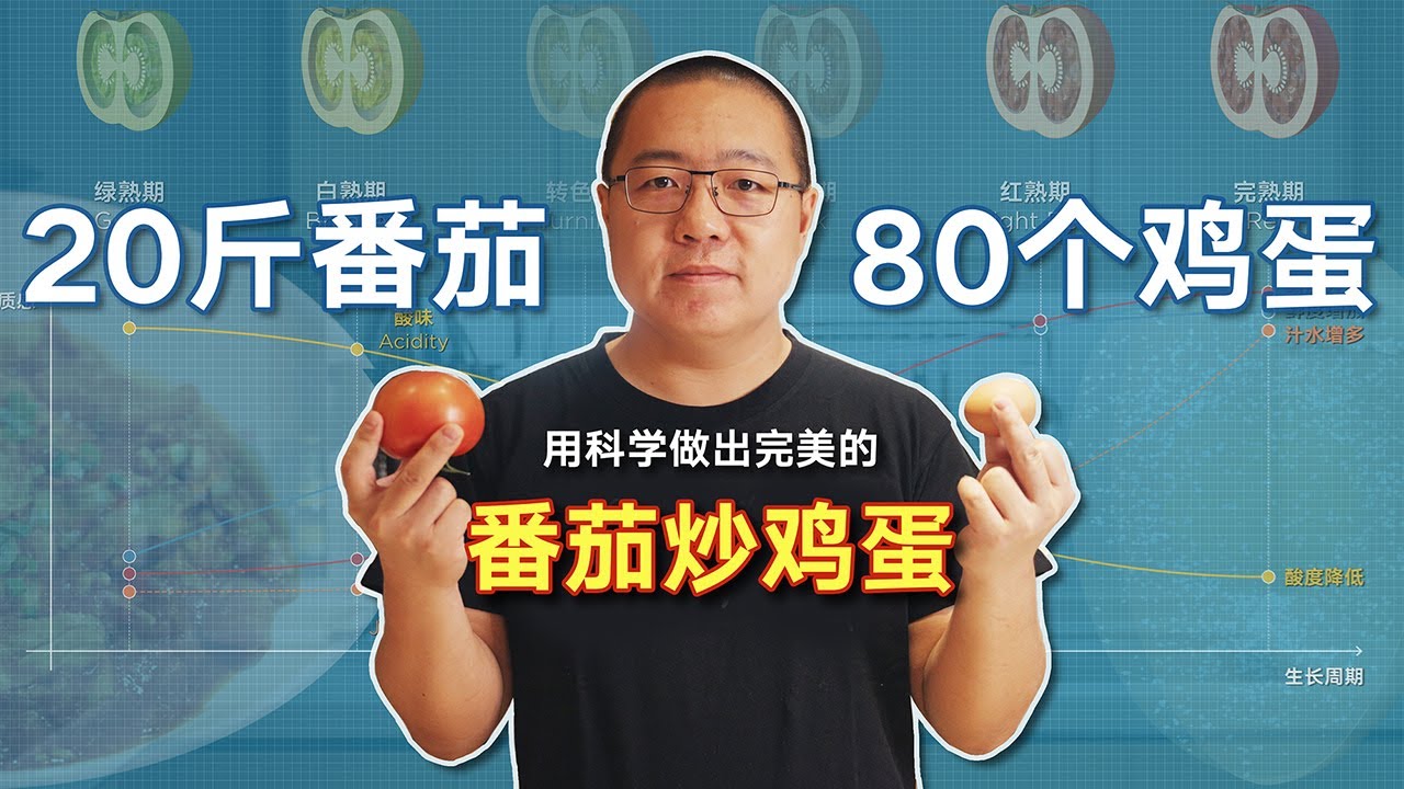 如何做出鲜香浓郁、挂满汤汁的番茄炒鸡蛋【解构家常菜】Egg & Tomato Stir-Fry