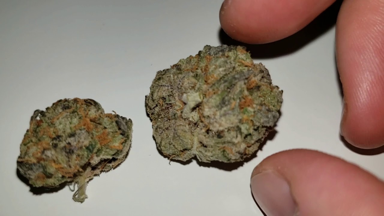 STRAIN REVIEW 058: grease monkey AAAA - Weed-deals