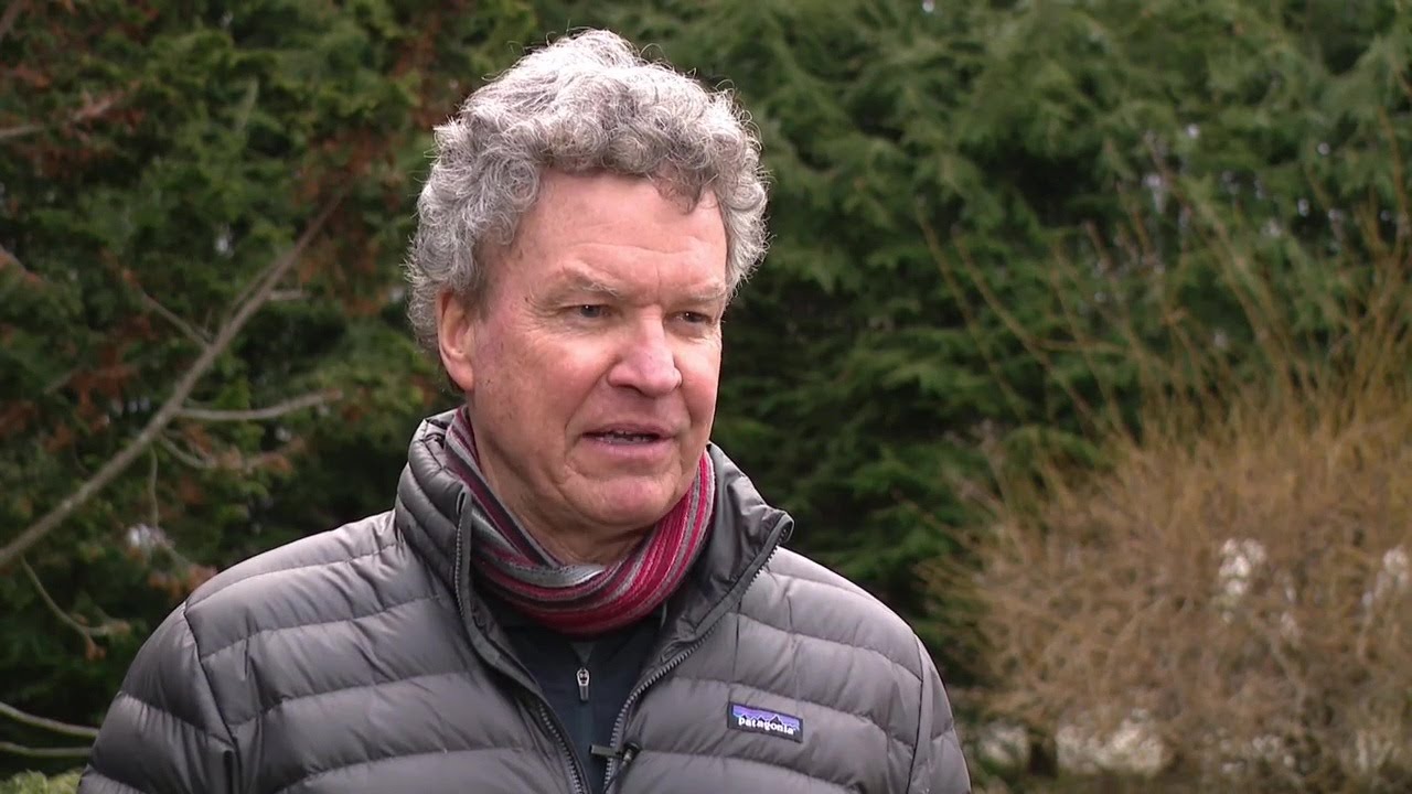 RI state senator battles neighbors over trees and boundary line