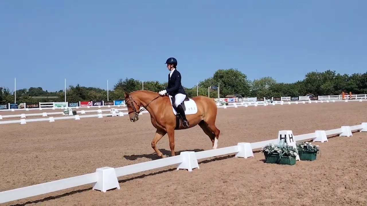 BD Aera Festival. Elementary 5 Bronze. 65.417 9th.