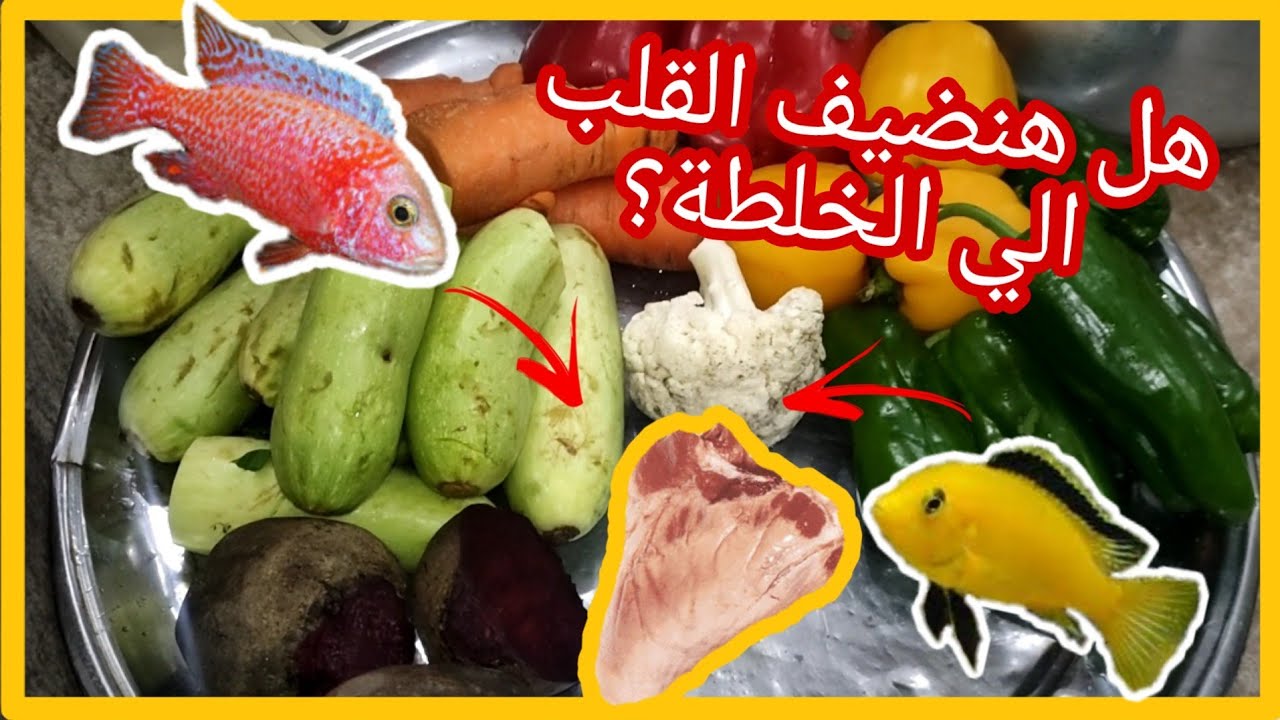 ازاي تعمل طعام لاسماك السيكليد الافريقي