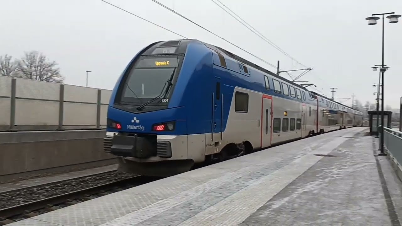 2025 Året som gick