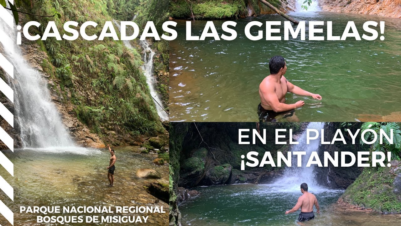 RUTA CASCADAS LAS GEMELAS EN LA RESERVA NATURAL BOSQUES DE MISIGUAY - SANTANDER.