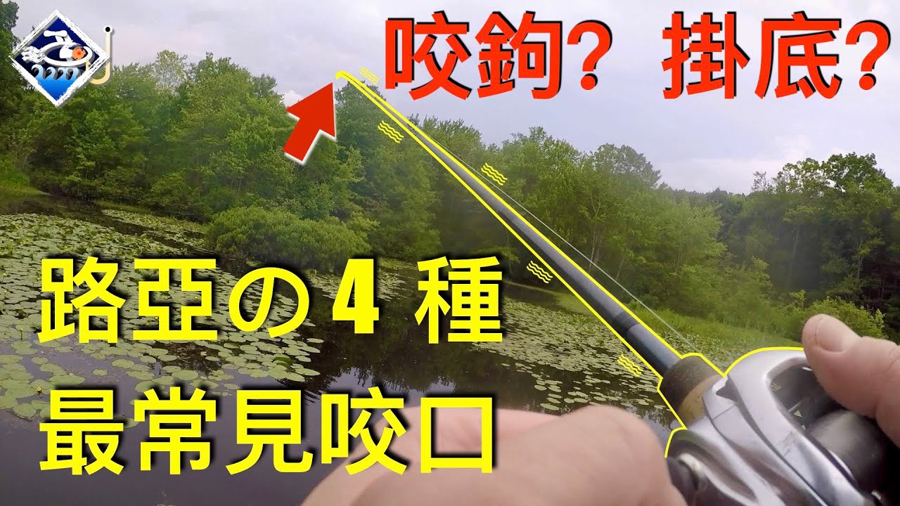 路亞咬口感知（上）｜四種最常見的咬口您一定要知道【大漁視角】