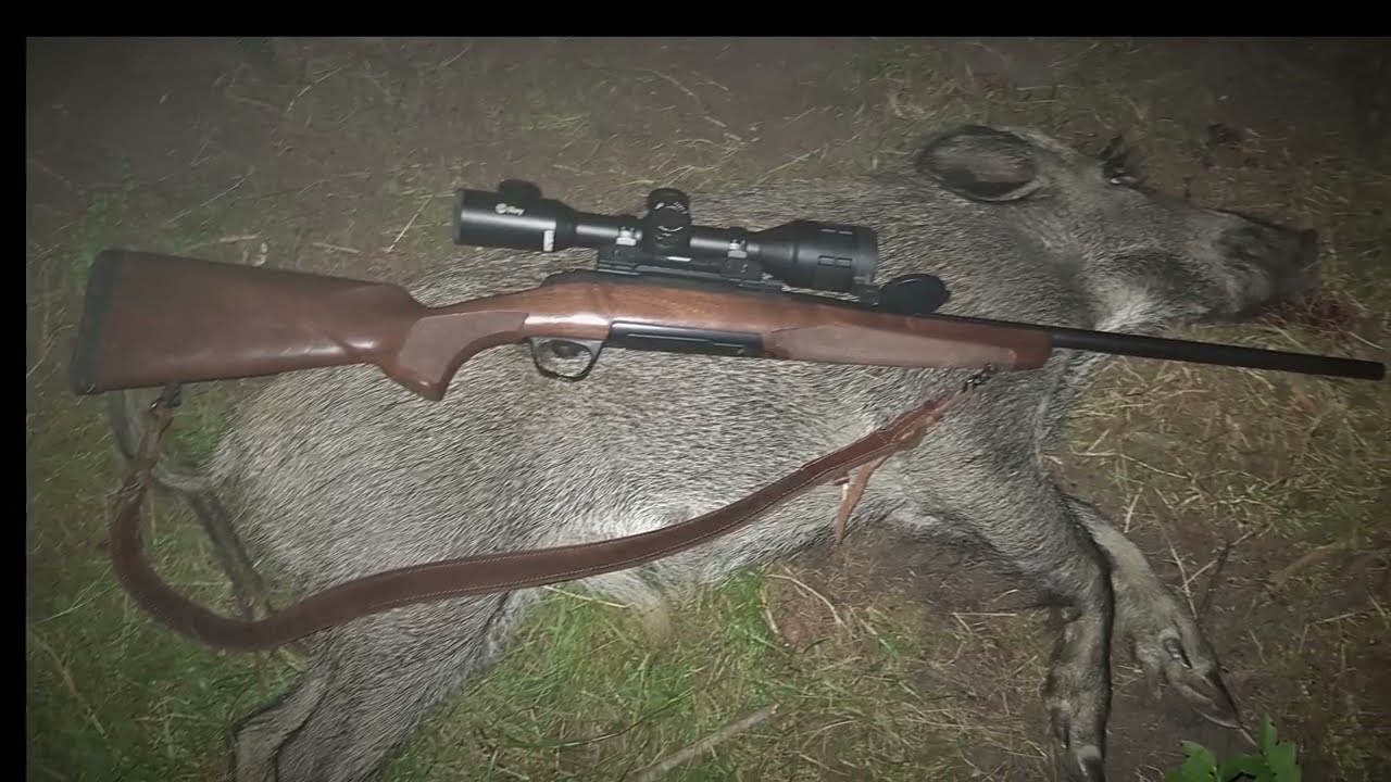 Infiray Tube TH50 the kill shots