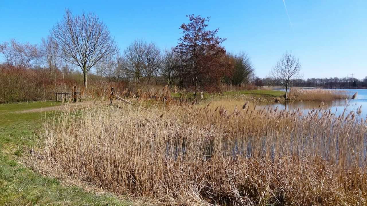 Zwolle Wythemerplas