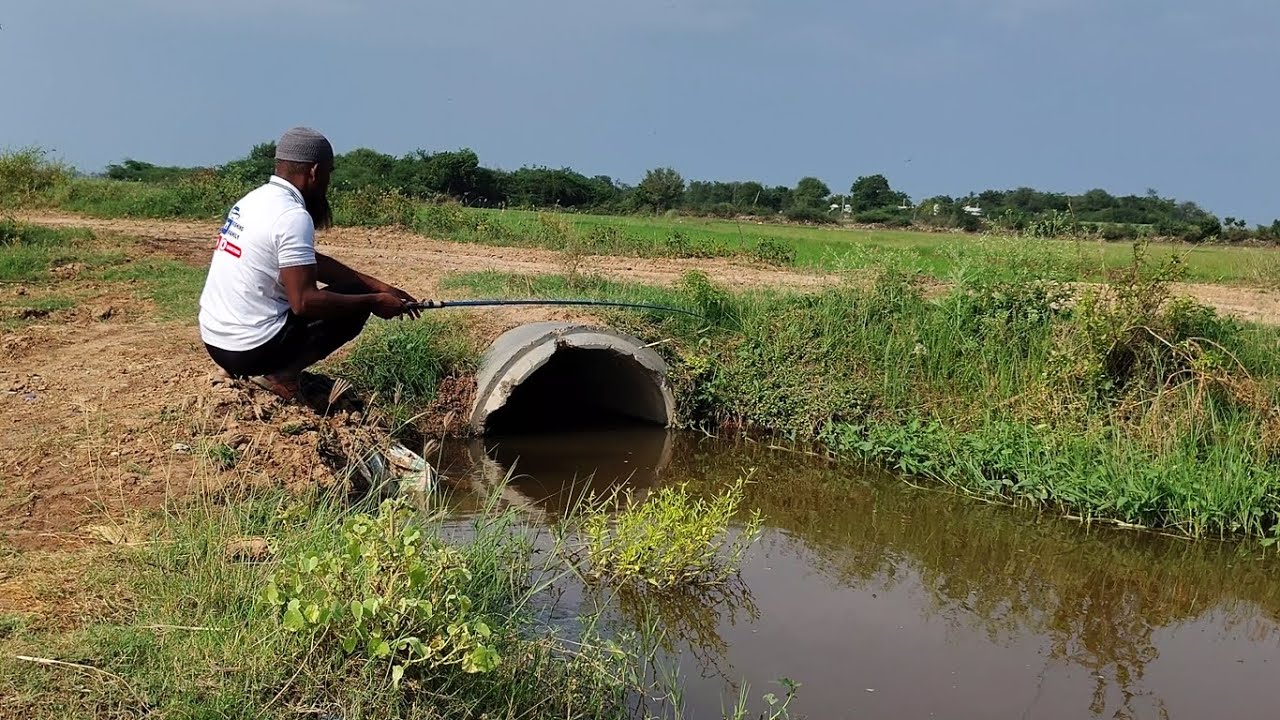 "🎣 Exploring Traditional Fishing Methods for Giant Tilapia in a Serene Village Stream 🌊