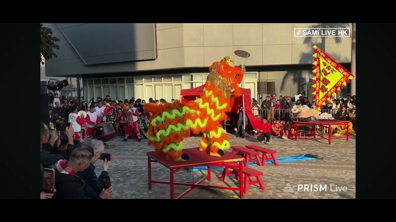 20260102元旦 香港龍獅節
