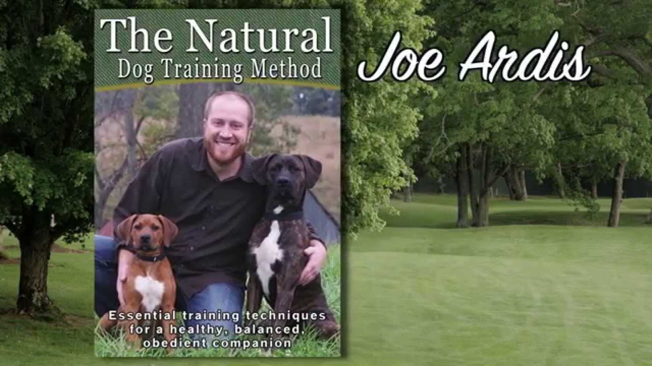 AMAZING NEW DOG TRAINING VIDEO CHANGES LIVES!