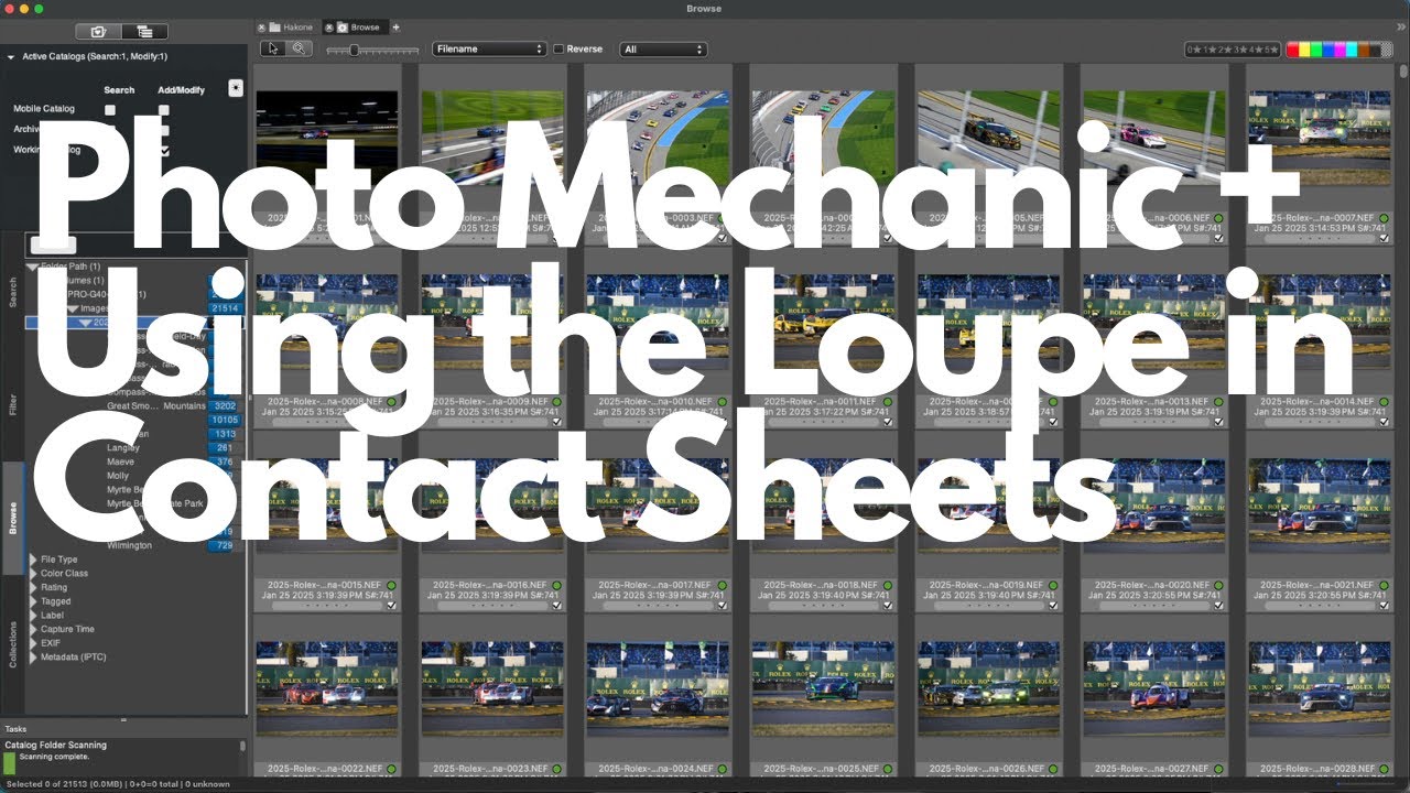 Mastering the Loupe Tool in Photo Mechanic Plus: Pixel-Level Image Review on Contact Sheets