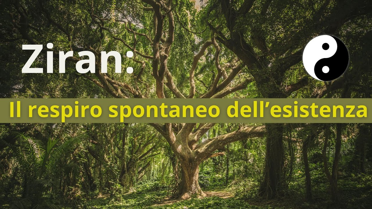 Ziran ☯ Il respiro spontaneo dell'esistenza.