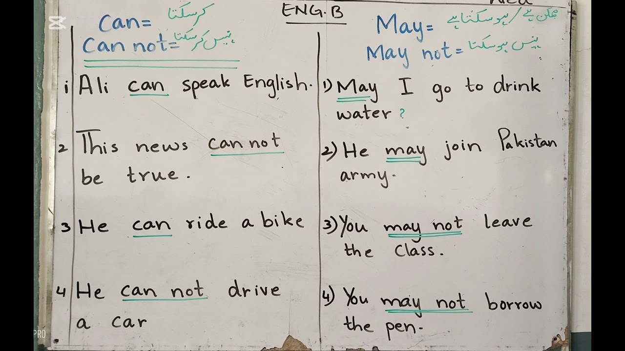 Examples about   ( May  /  May not  )   +   (  Can.  /  Can not )