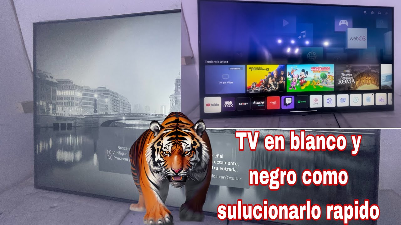 TV en blanco y negro SOLUCIÓN rápido y fácil