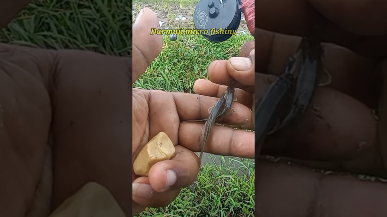 Mancing Uceng Pakai Kail Neo Carbon 0,5 Umpan Go Potato dobke Strike 12