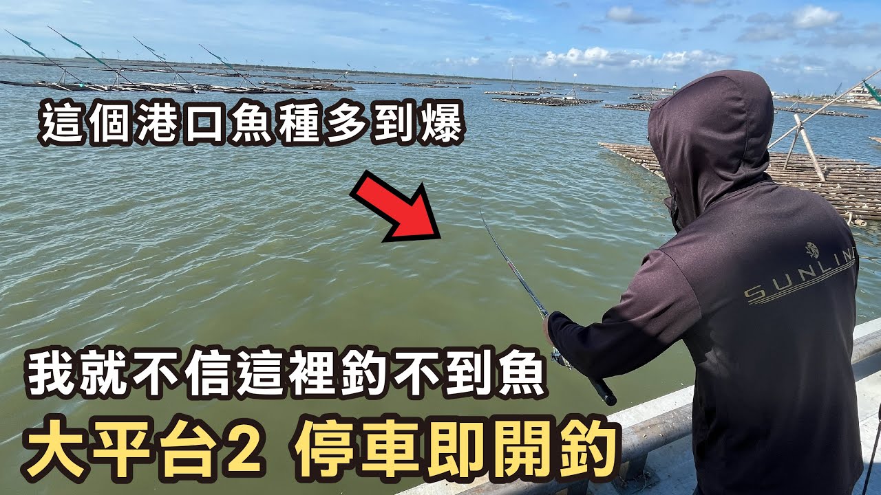 大平台2 我就不信這裡釣不到魚😠 這個港口魚種多到爆 舒適釣魚體驗 停車即開釣︱磯釣︱黑鯛︱沙格︱全游動︱チヌ