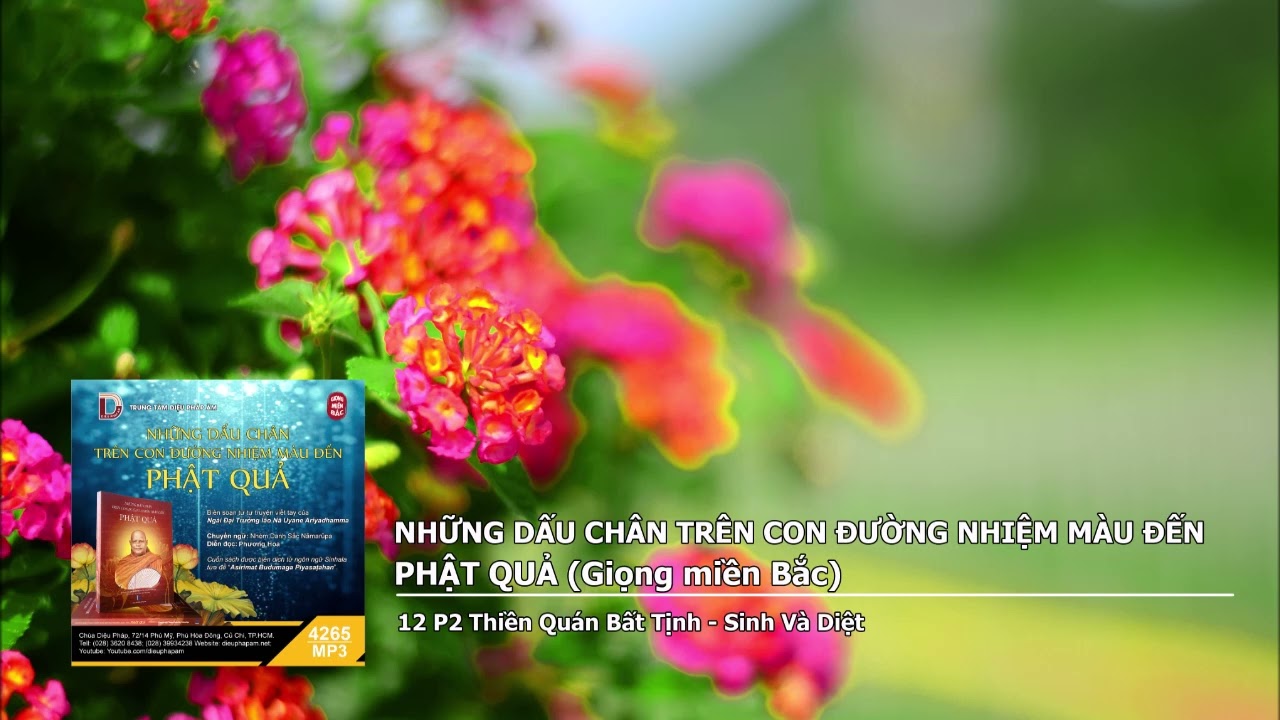 NDCTCDNMDPQ (giọng miền Bắc) - 12 P2 Thiền Quán Bất Tịnh - Sinh Và Diệt