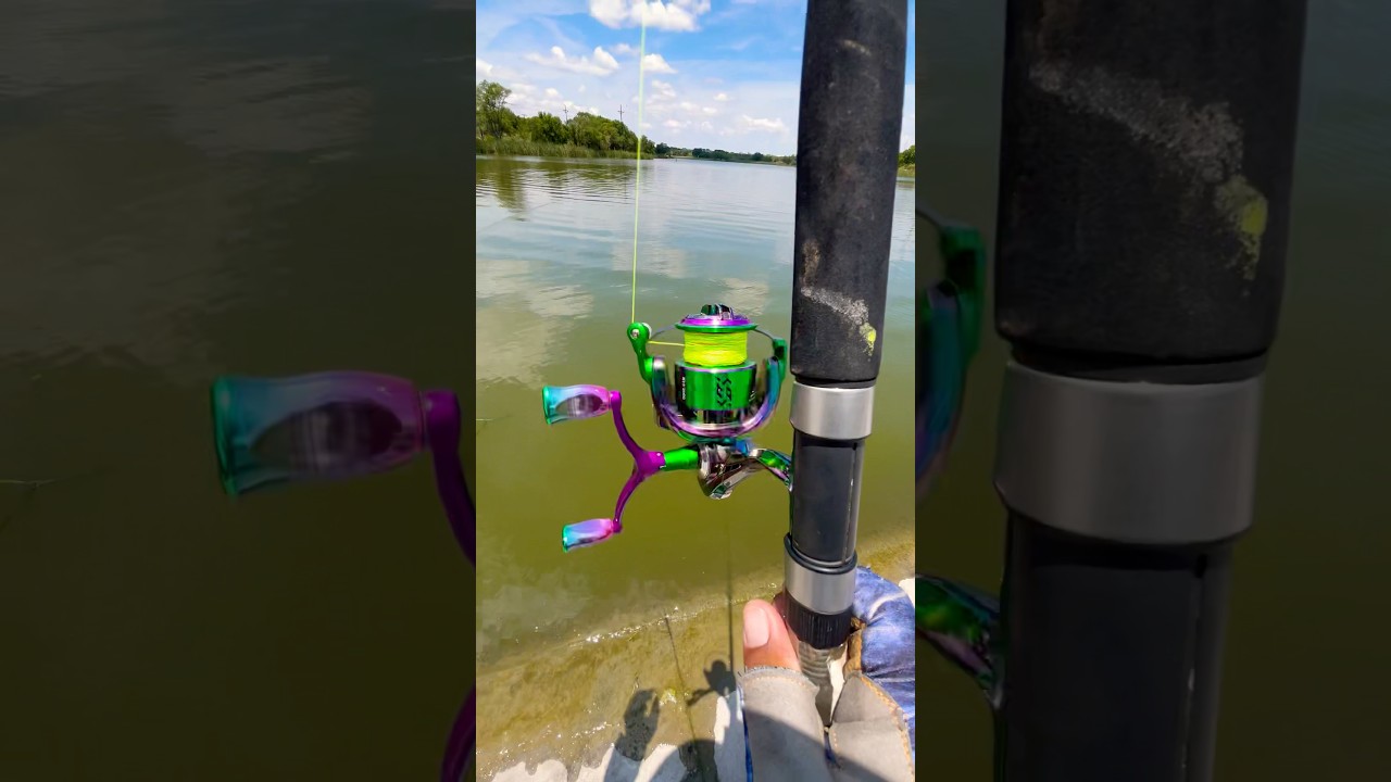 Tips casting a spinning Reel#fishing#fish#shortsvideo#shortvideo#shortsviral#shorts#short#youtube