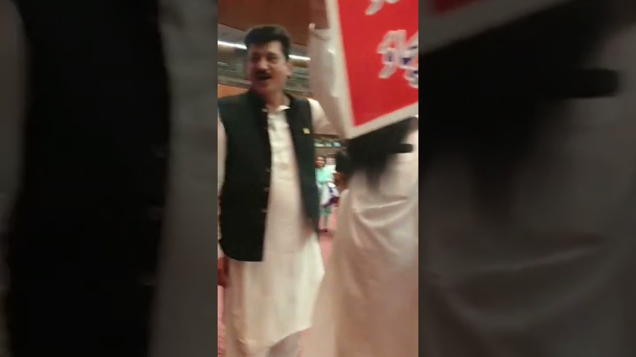 Pti's Senator protest against Govt's Bill in Senate house #ptisenator #govtbill #imrankhan #shorts