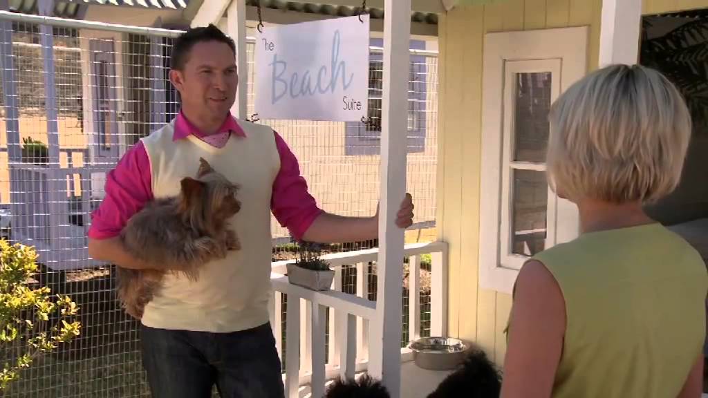 Kwêla onderhoud met Must Love Dogs en Ineke Boyle