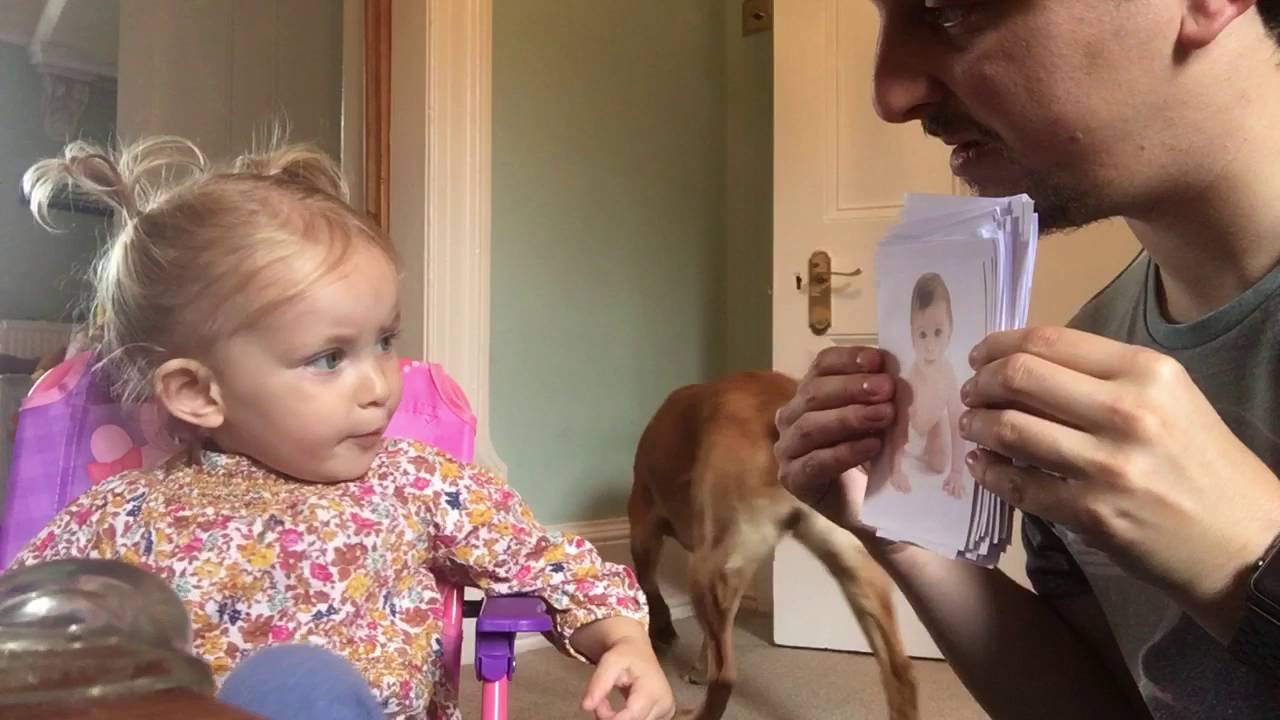 16 months old baby, 60 + words Homemade flash cards Speech daughter development 14 15 17 18 1 2 game