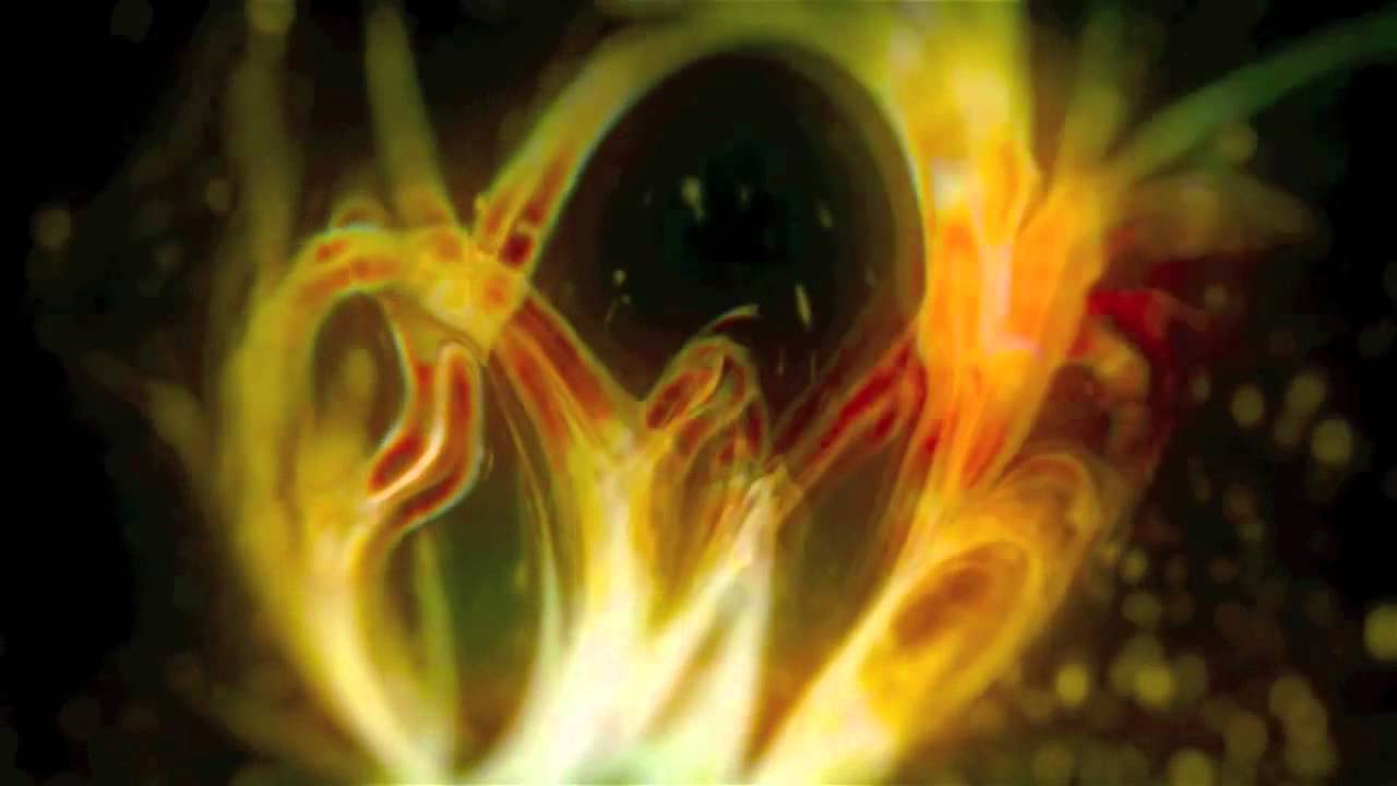 The Transcension Hypothesis - What comes after the singularity?