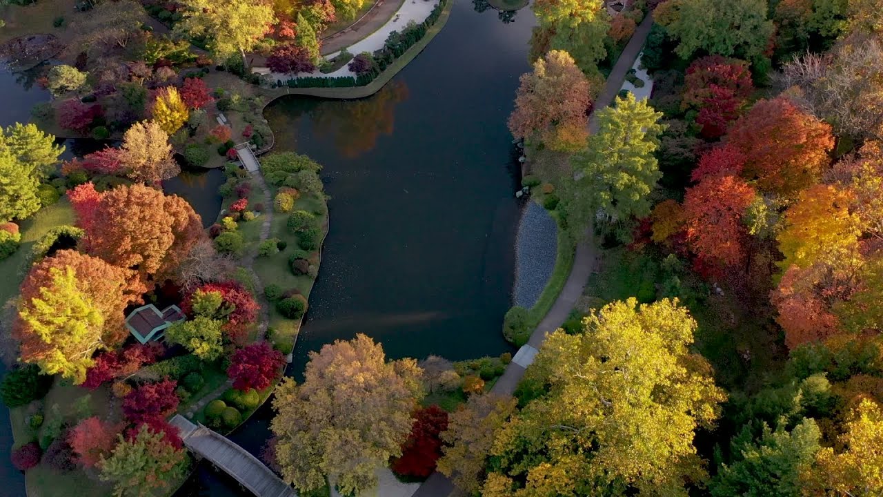 Video: Fall color approaching peak at Missouri Botanical Garden