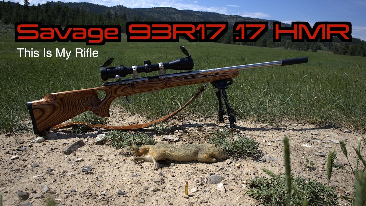 Это моя винтовка: Savage 93R17 .17 HMR