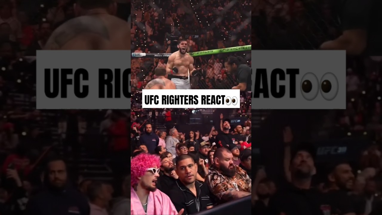 UFC FIGHTERS REACT to Islam Makhachev title win at UFC 311 #ufc