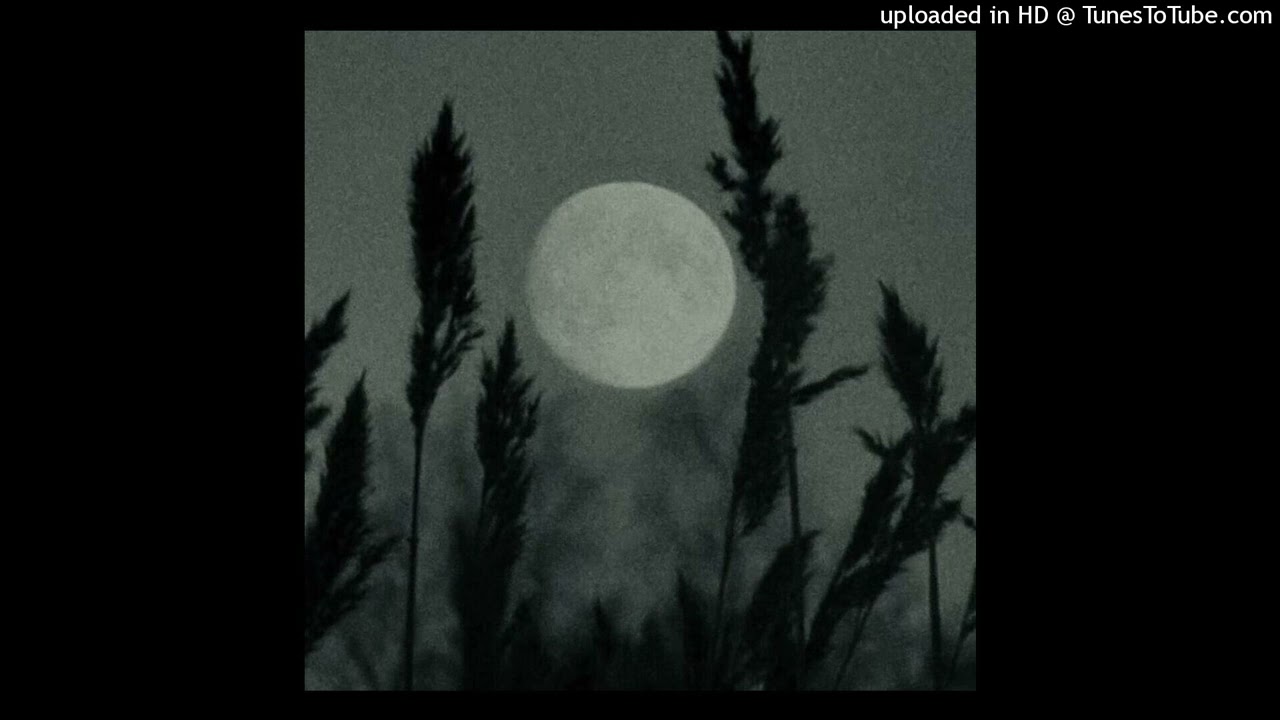 bones x city morgue type beat 