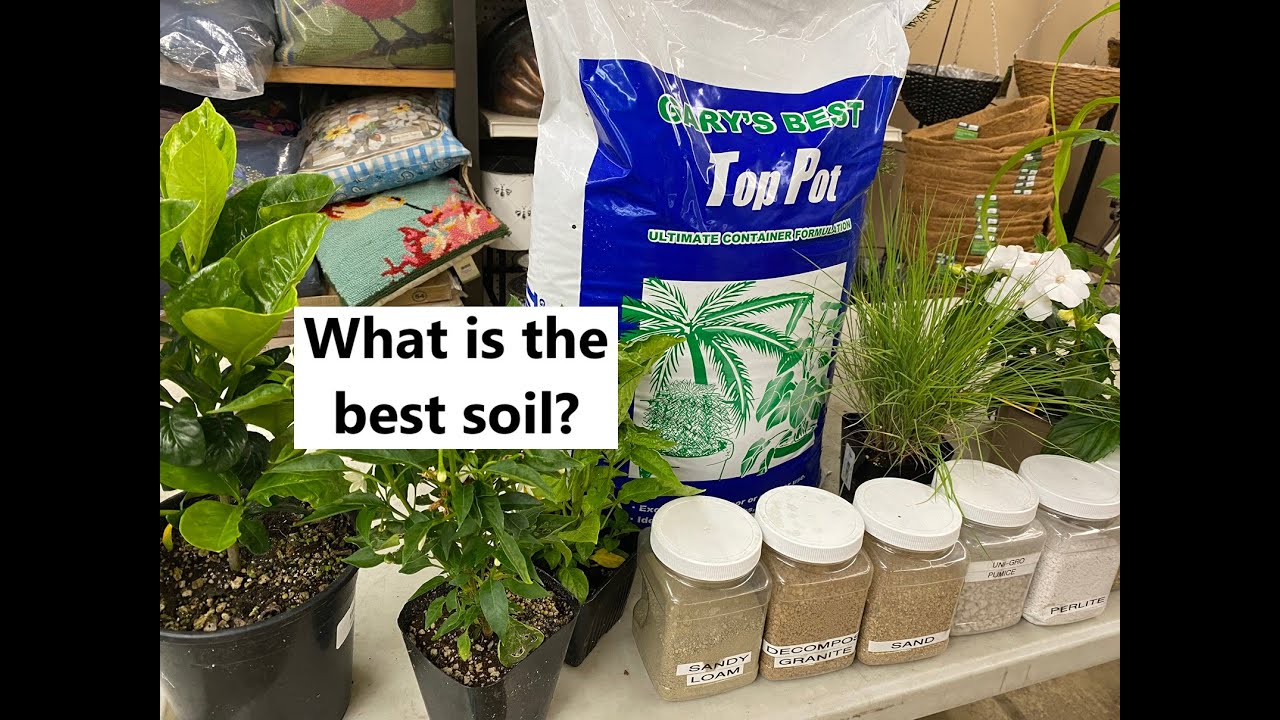What is the best soil?