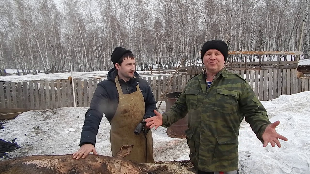 ГОСТИ НА  БИО-ФЕРМЕ МАНГАЛИЦА.