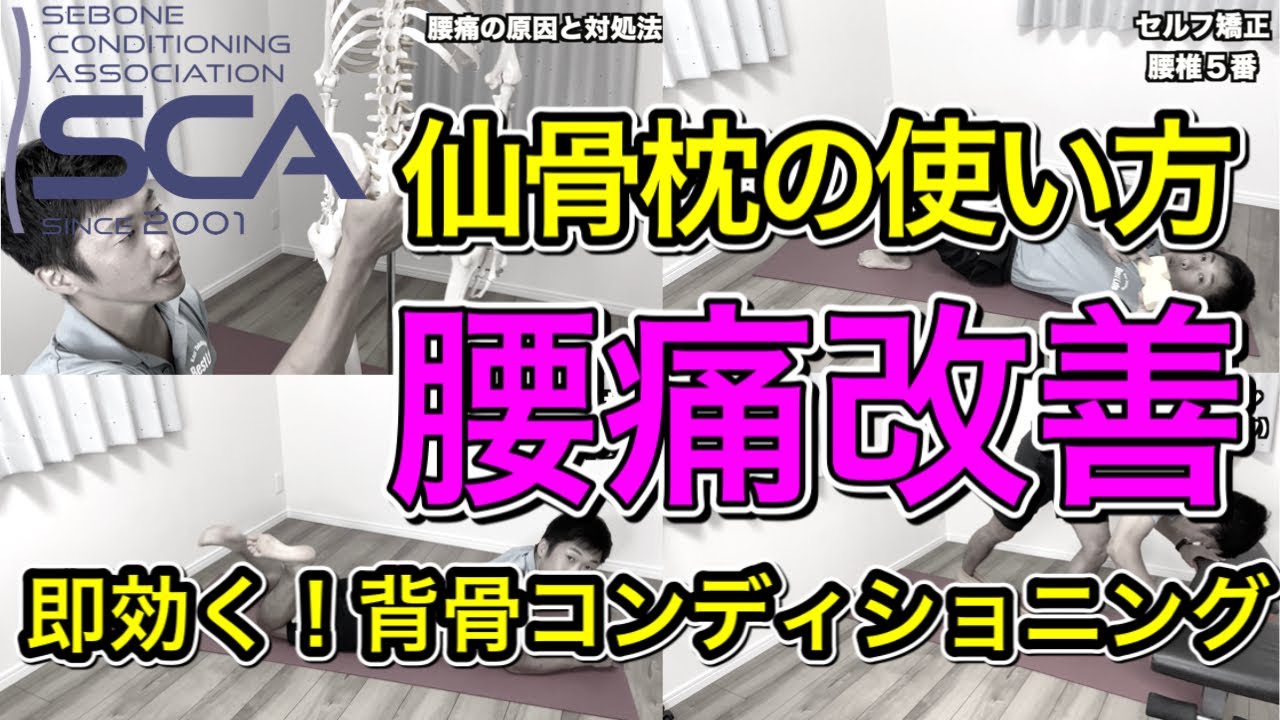 【仙骨枕・腰痛編】当てる骨、動作、解説します。腰痛で困ってる方はこれで大丈夫