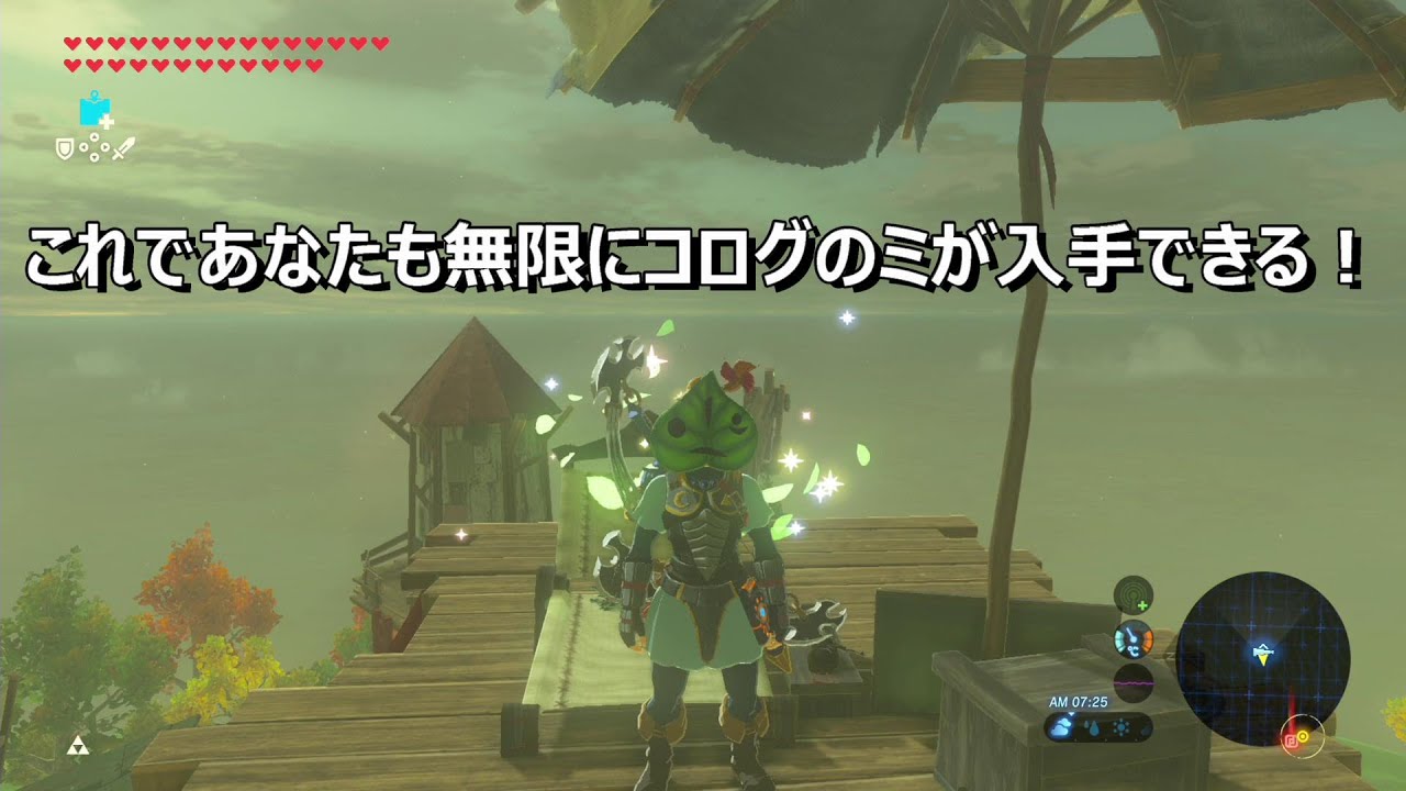 コログのミを無限入手する裏ワザ【ゼルダの伝説 ブレス オブ ザ ワイルド】
