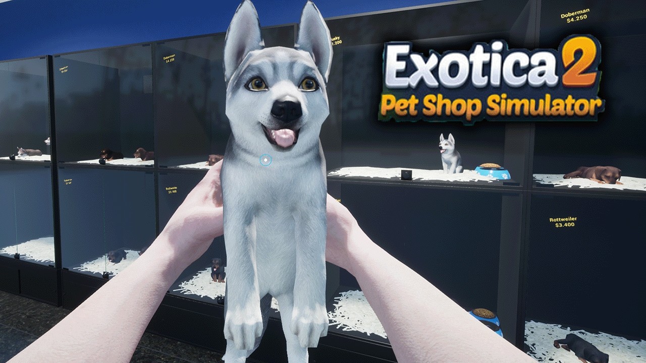 Ein neuer Freund im shop - Exotica 2: Pet Shop Simulator gameplay deutsch #20