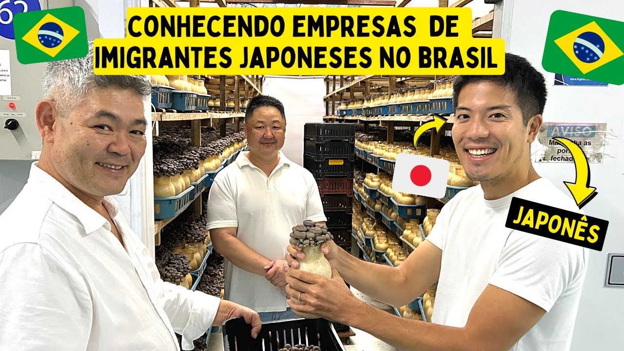 Japonês conhecendo empresas de imigrantes japoneses no Brasil