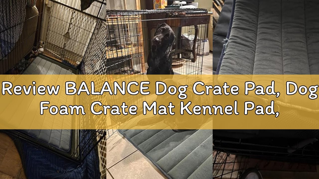 Review BALANCE Dog Crate Pad, Dog Foam Crate Mat Kennel Pad, Washable Water-Resistant Pet Bed Flat D