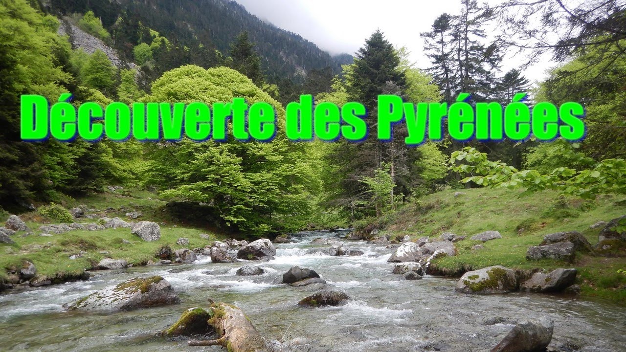 A la découverte des Pyrénées (pêche au toc, mouche sèche et leurres)