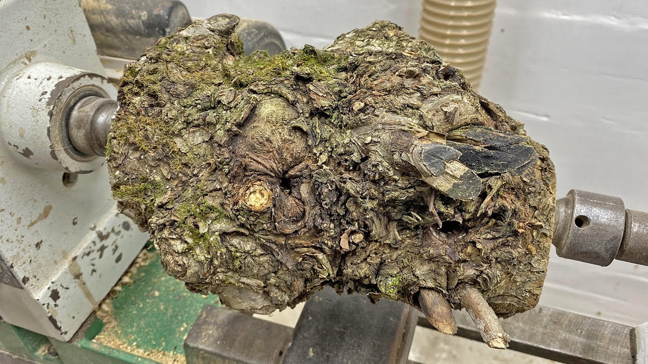 Woodturning - Someone Tied this Tree in a Knot