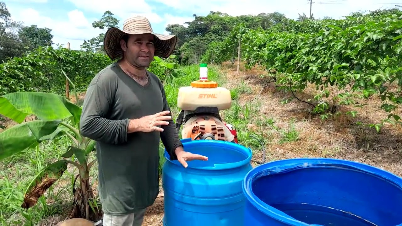 Como controlar trips y mosca de ovario en el cultivo de maracuyá.