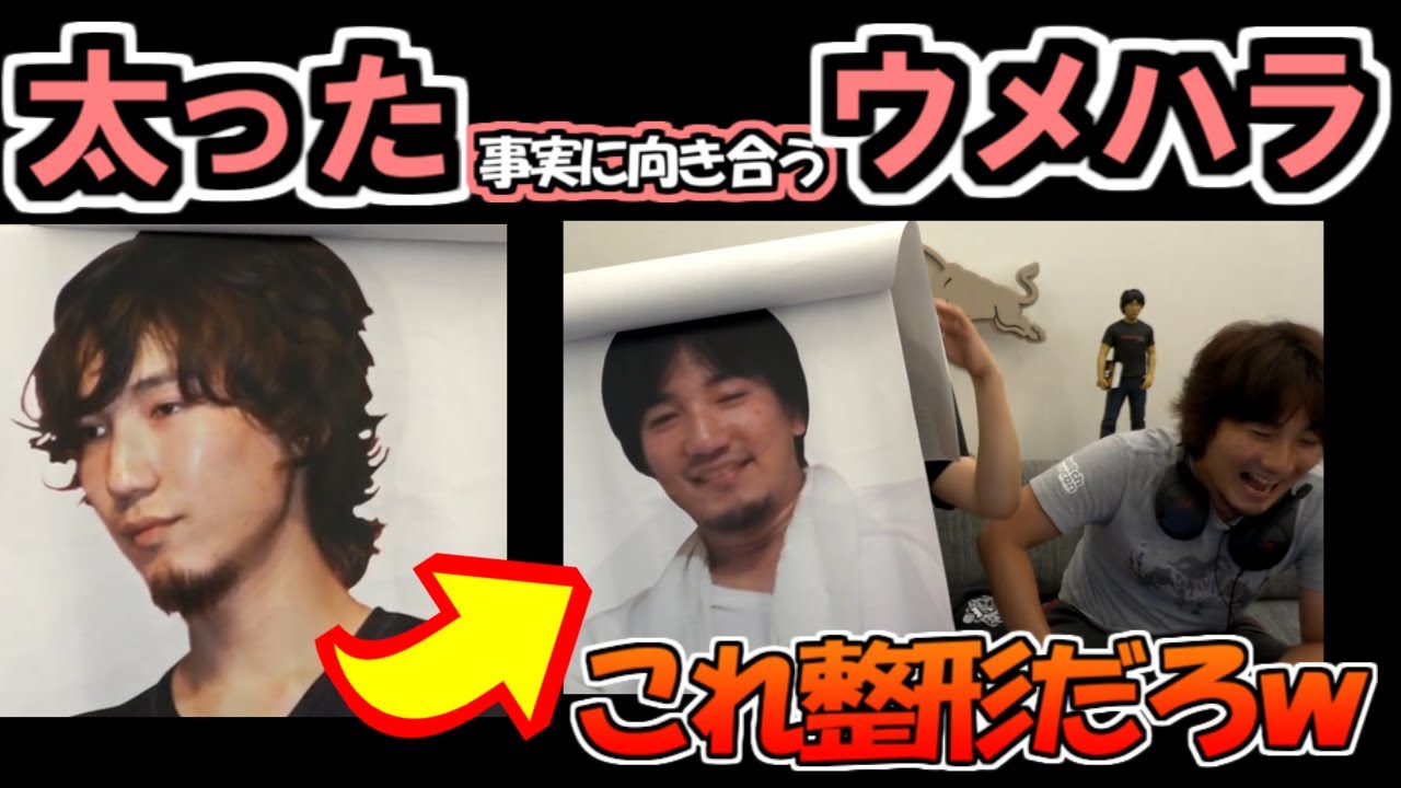【ウメハラ】痩せていた頃と太った今の比較をするウメハラ