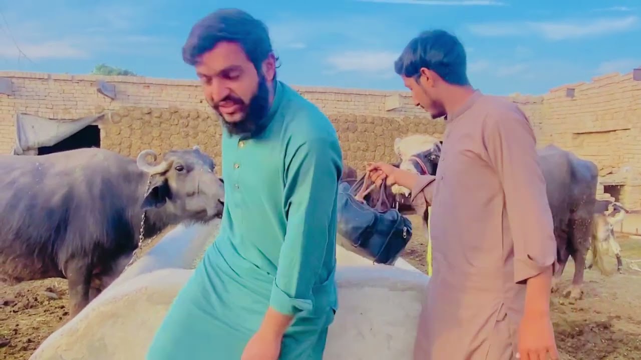 Faraudia Doctor 😅#wait for end#viral 