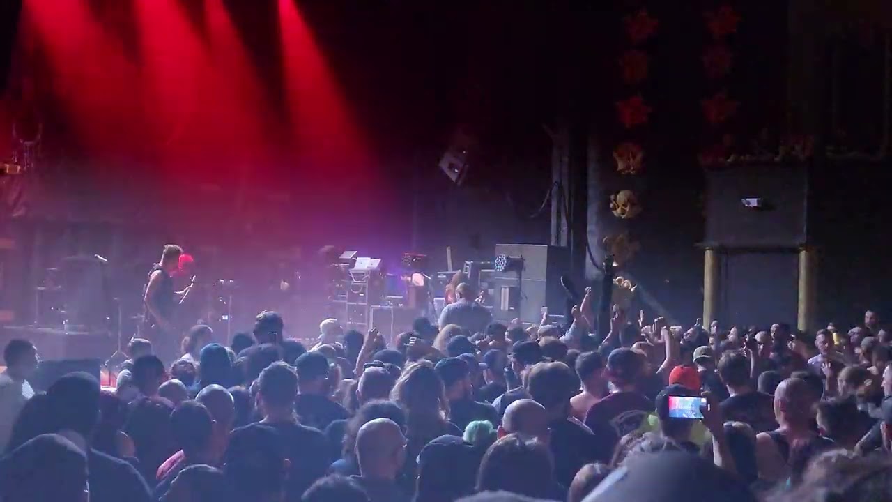 Paleface Swiss - The Gallow (live)