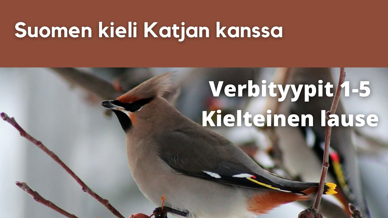 Kielteinen lause verbityypit 1-5 | Suomen kieli Katjan kanssa