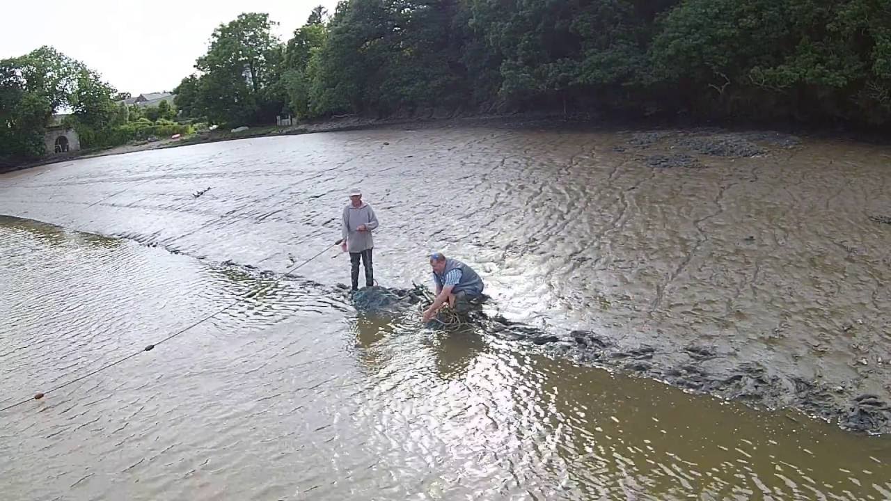 salmon fishing on the tamar   a dieing  tradition