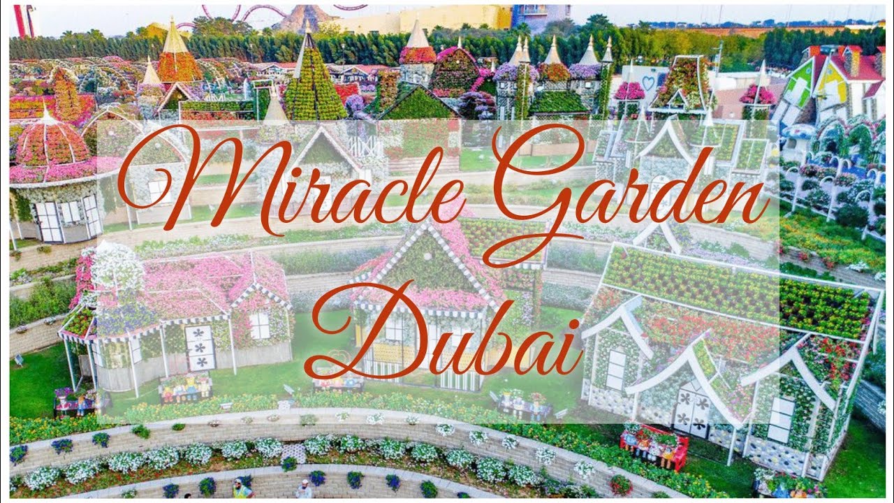 Dubai Miracle Garden