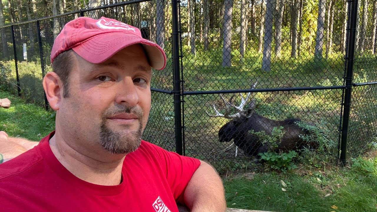  Maine Wildlife Park Gray, Maine 