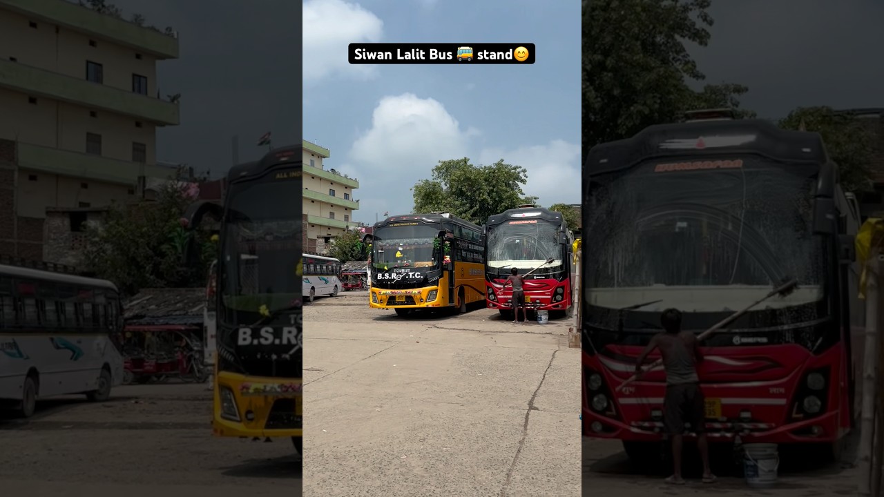 Siwan Lalit Bus Stand 😊🚎 #busstand #siwannews #minivlog #youtubeshorts